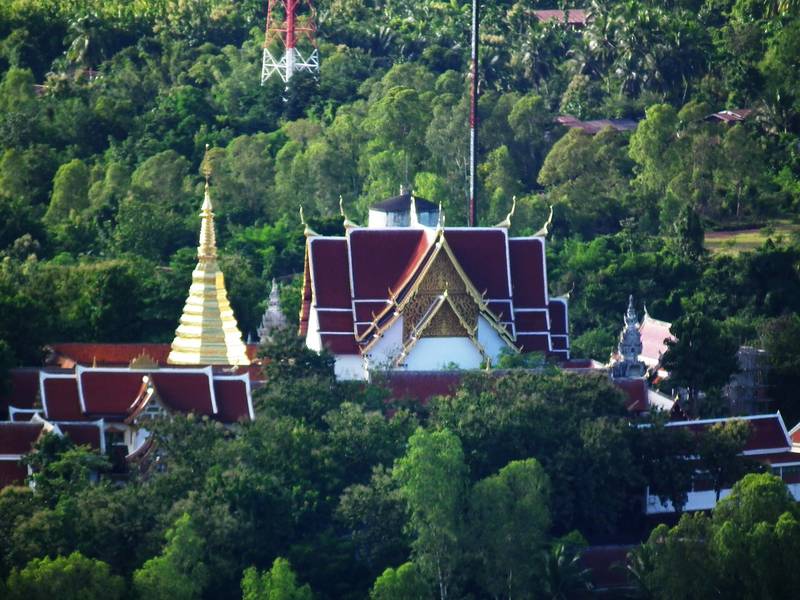เจดีย์สีทองและวิหารหลังคาแดงของวัด ตั้งอยู่บนเนินท่ามกลางป่าเขียว